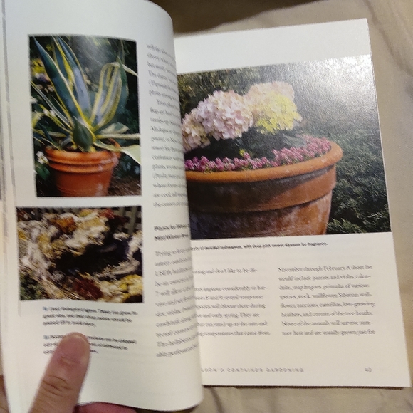 Container Gardening. By Jim Wilson's - Picture 3 of 7